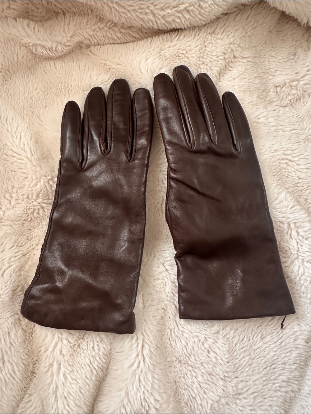 Classic Brown Leather Women's Gloves